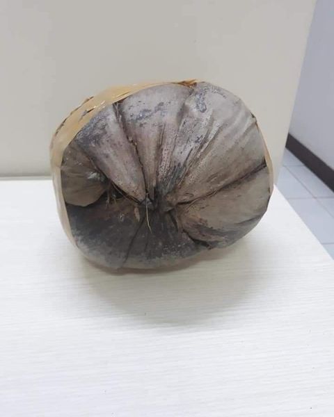 网购|网购机车零件却收到椰子以为被骗,剖开后网友大赞卖家聪明