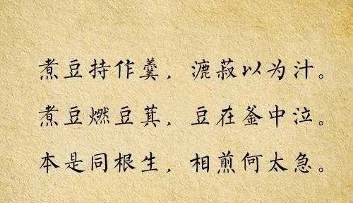 读古诗系列《七步诗》小学生必背古诗