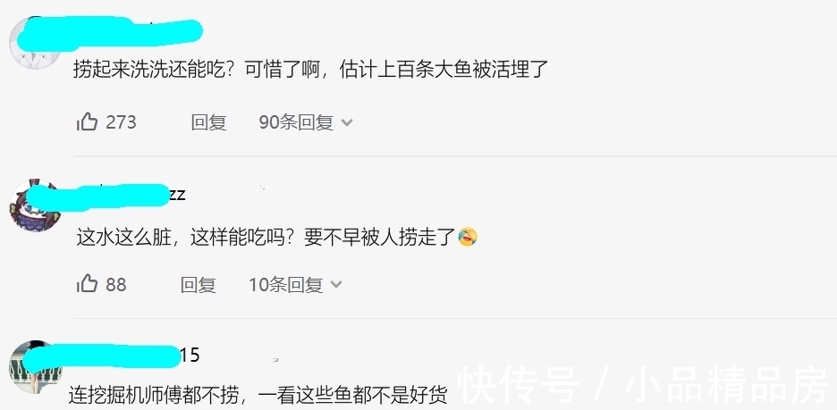 广州一水塘被填平,成群大鱼被困在泥水里无人捞,结果被活埋?