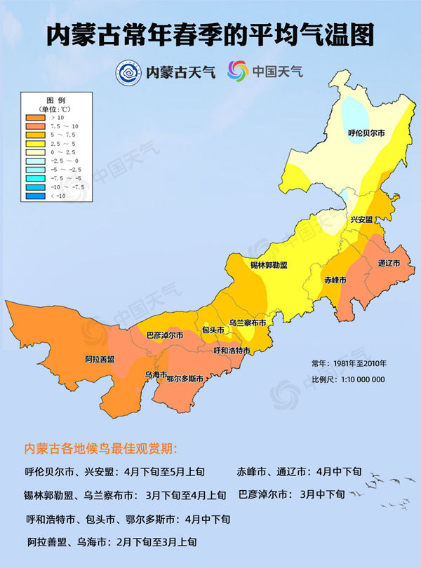 内蒙古候鸟迁徙地图来了！一文告诉你哪里是春季候鸟最佳观赏地