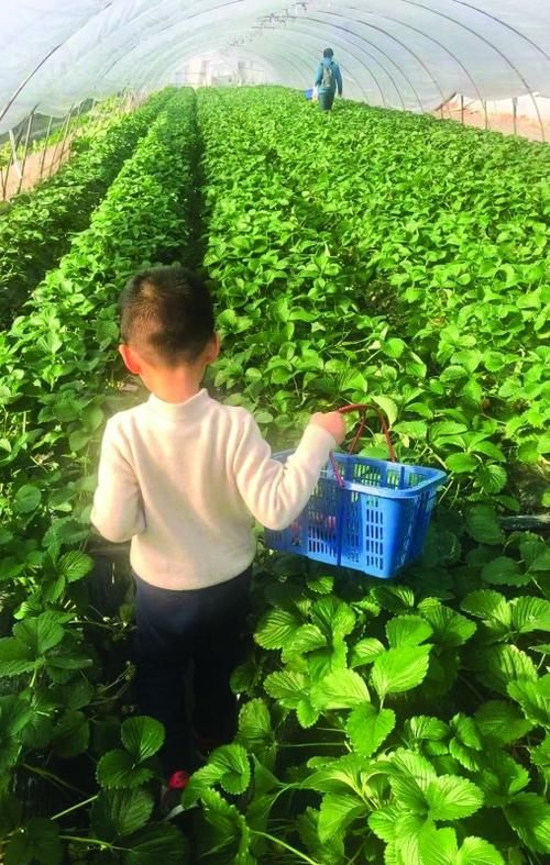 春节遛娃有去处 共享沪上好时光