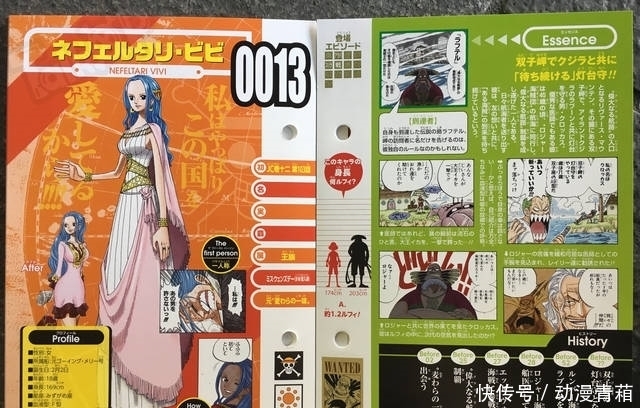 海贼王|路飞已经找齐十人了！海贼王官方账号换全家福，暗示她是第十一人