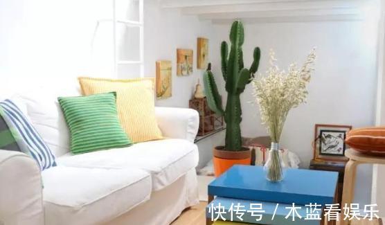 墙面|20㎡超小迷你房,日常生活功能区齐全,大胆又精致的设计