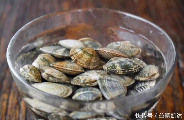 洗花蛤时,万不可加盐吐沙渔民牢记一个土方法,花蛤疯狂吐沙