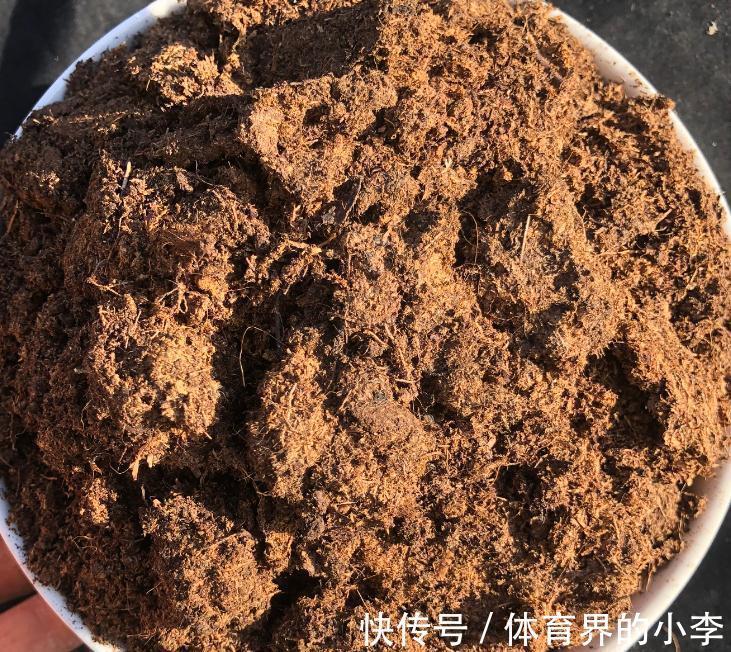 最实用的多肉配土,无需复杂简单就好,多肉配土详解