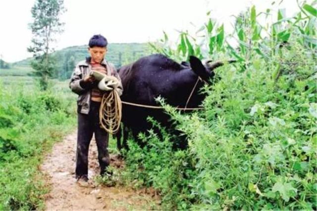 书包|小男孩背“麻袋书包”,自卑到不敢靠近小伙伴,看完让人心头一酸