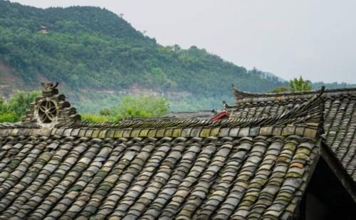 在屋顶的瓦片上种多肉？这个想法很大胆，不过满足这些条件应该不成问题