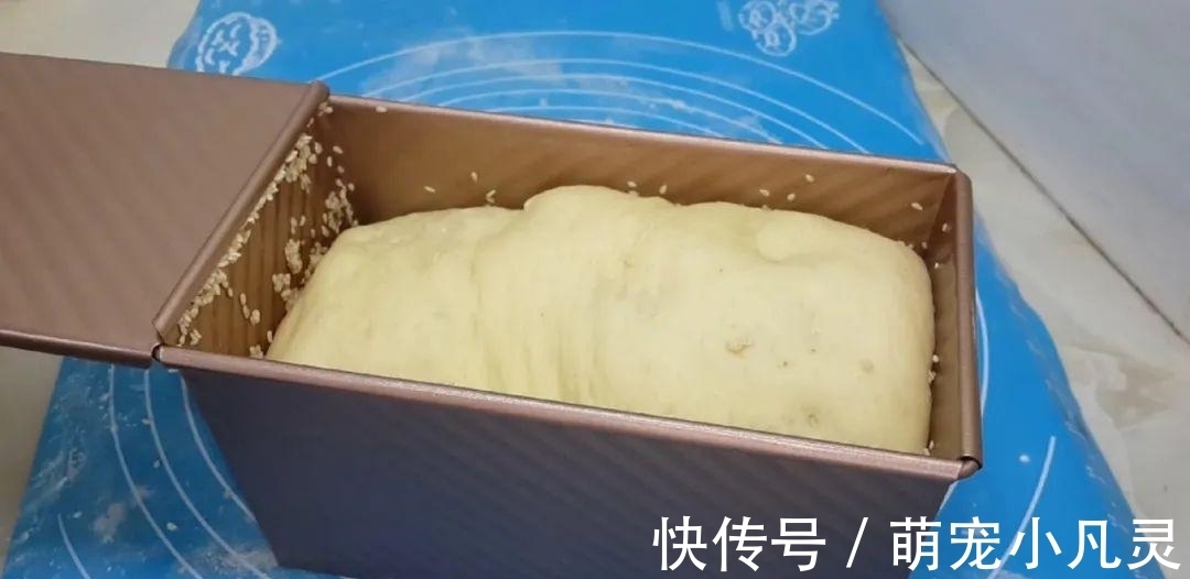 孩子|最近很火的面包做法，烤箱里一放，家里孩子一周吃五次，真的很好吃