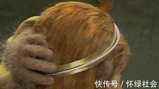 观音$观音唐僧都念的紧箍咒,究竟是啥?翻译成中文你听了也会疼