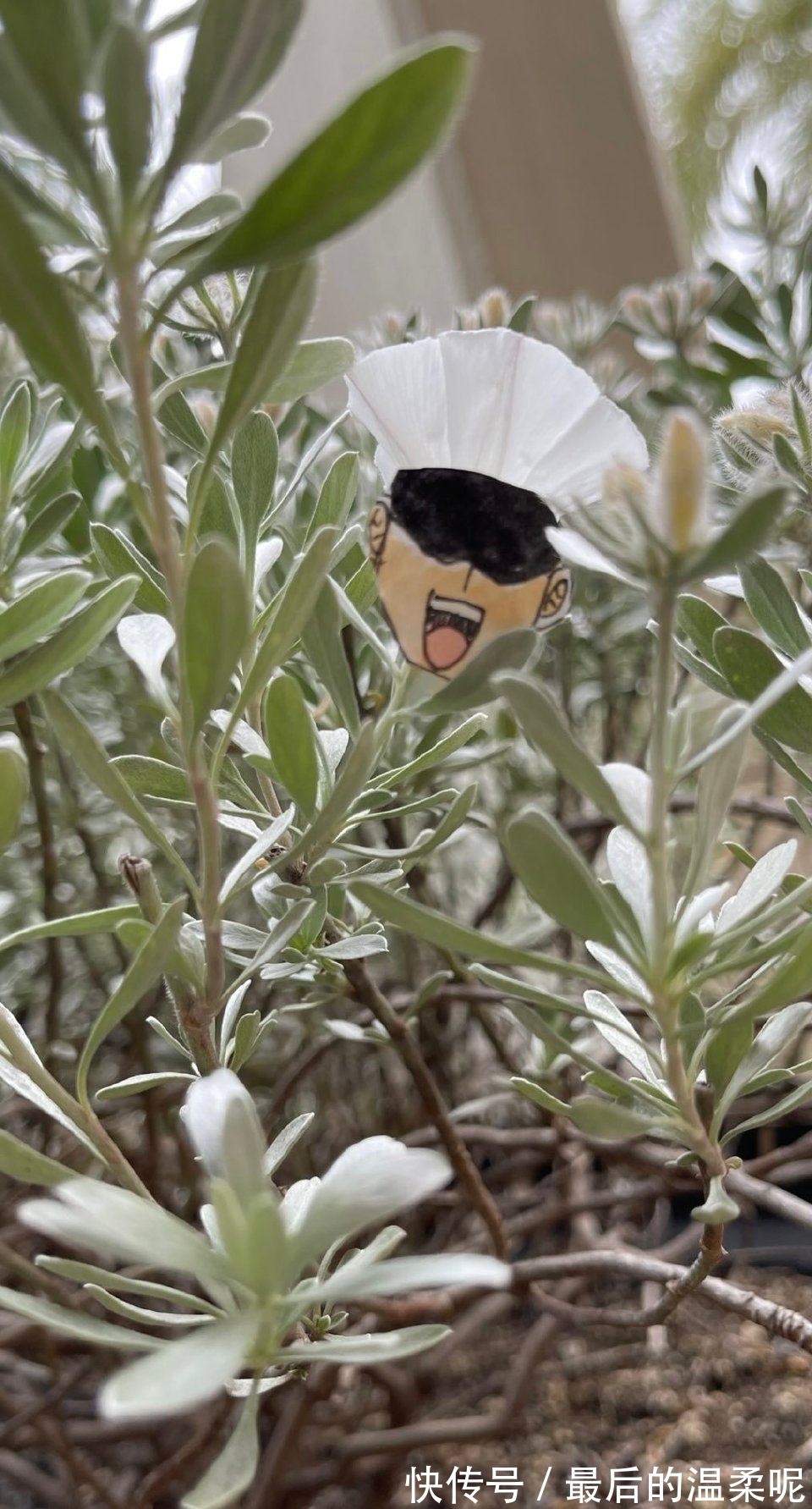 伏黑惠|手指COSPLAY《咒术回战》,这是什么奇怪脑洞?却没有违和感