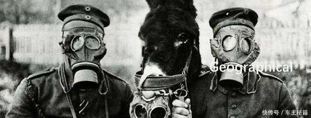 不了|德国奥地利怎么就合并不了