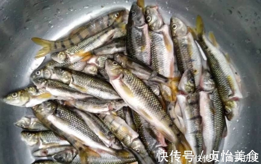 石斑鱼|溪石斑,鱼体虽小价格昂贵,很多钓鱼人根本不懂如何垂钓!