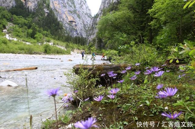 “景如画、梵如音”，低调又迷人的甘南美出圈了！