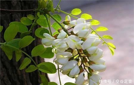 夫妻|别看它长得“丑”, 竟是前列腺疾病的“天敌”, 男人常吃夫妻幸福