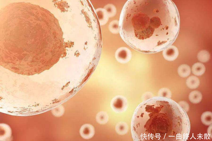 真的|吃黑豆能促排卵是真的吗是,但不科学