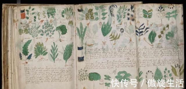 神秘的|世界上最神秘的“四部书籍”，其中两部诞生于中国