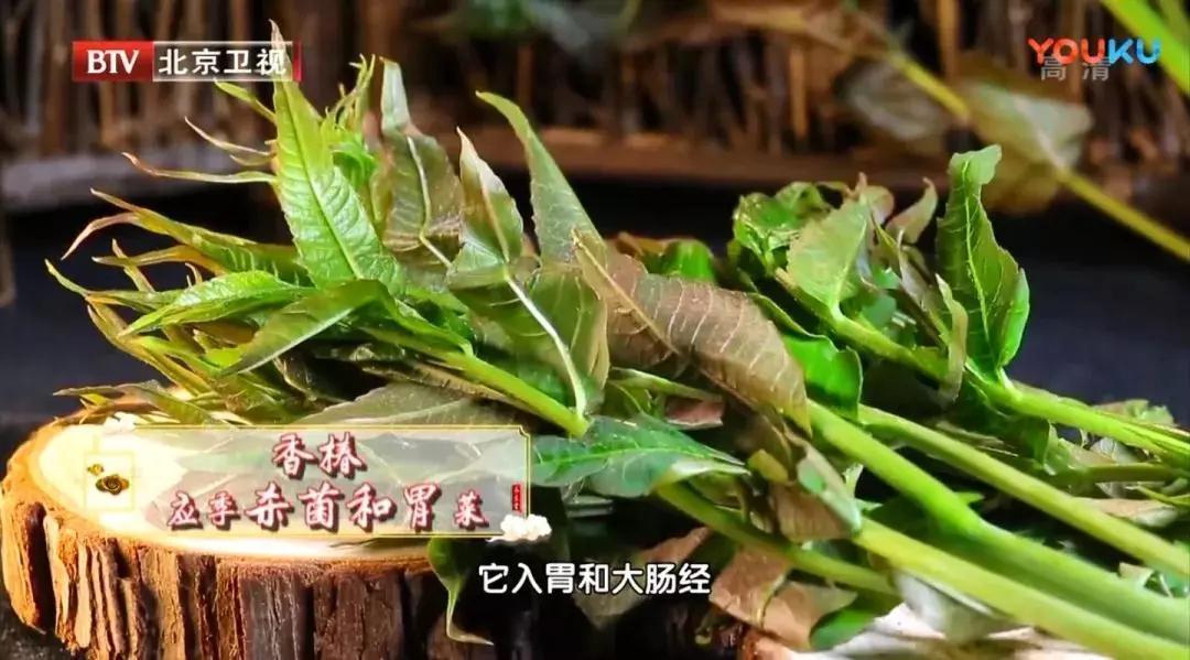 黄豆芽|老中医春季常吃“长寿芽”，比花生营养，比黄豆芽更爽脆