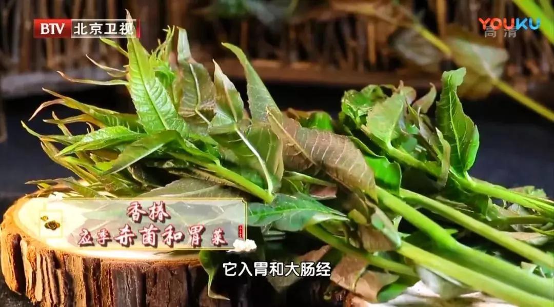 黄豆芽|老中医春季常吃“长寿芽”,比花生营养,比黄豆芽更爽脆