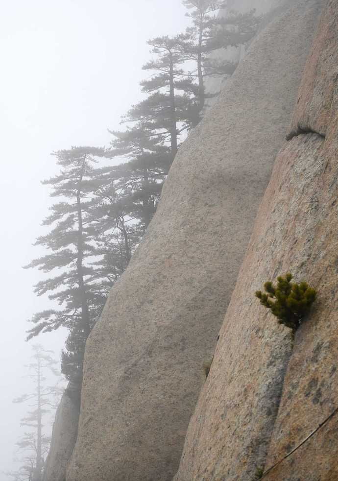 雨中看别样华山