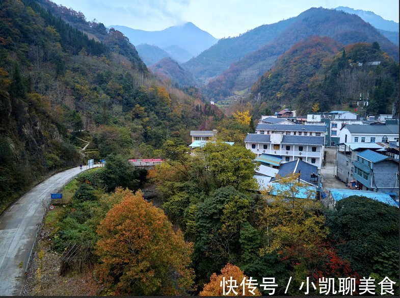 彩林|平武有座山红透了！山上这条云端上的彩林公路秋色如画