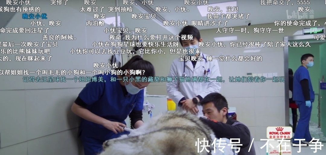 在《寵物醫(yī)院》呆一天，能看到多少人間離合？