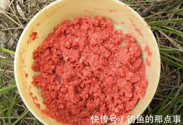 钓位|初春钓鱼“钓友爆护你空军”?别怪钓位没选好,可能是饵料的问题