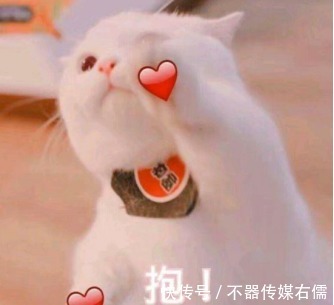 提取物|盘点值得回购的5款“爆火”洗发水，既防脱又控油，李佳琦力荐！