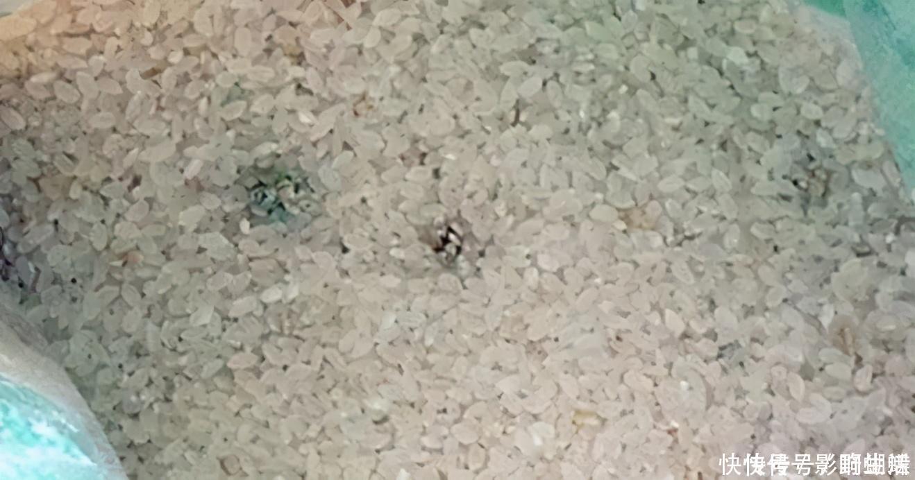 33岁男子,突然晕倒,2个月后离世,这东西闻着越香,其实越毒