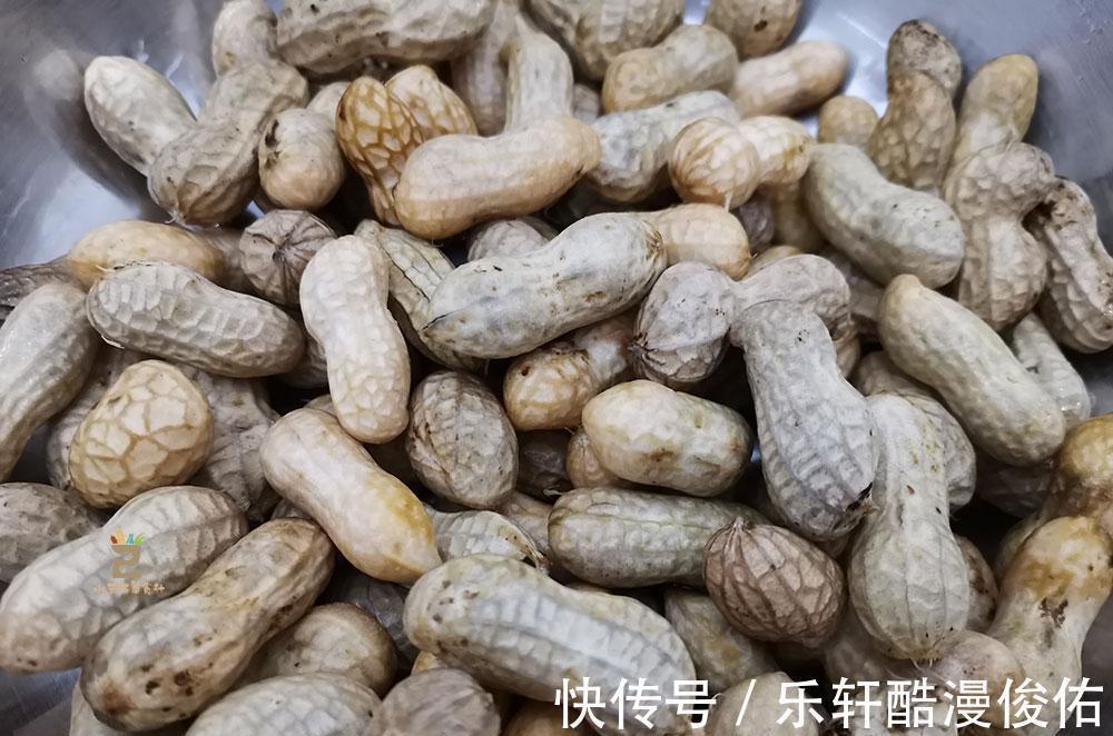 水煮花生,牢记别直接下锅,烧烤店老板教我2招,花生香糯又入味