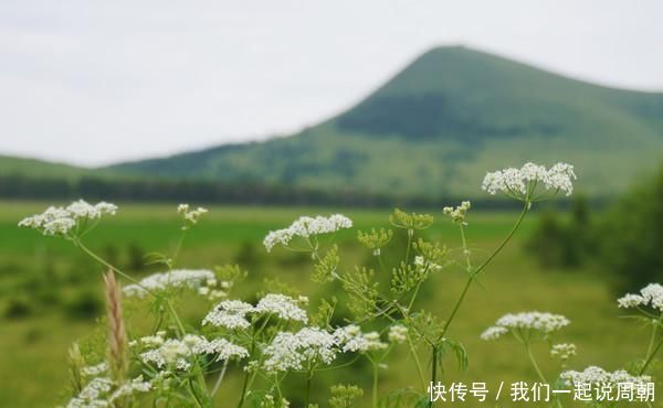 两天一夜|两天一夜草原迪士尼中国马镇行，在最美的季节遇见它