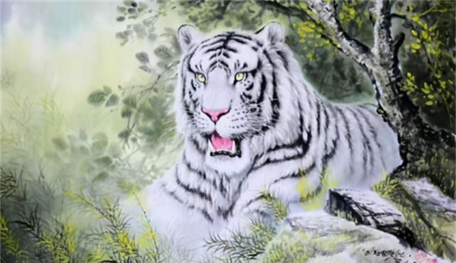 白虎|“白虎穿堂，家败人亡？”古人口中的白虎，可能和你想得不同