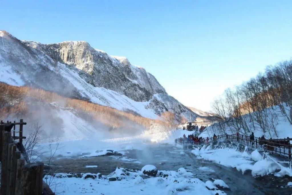 覆盖上白雪|进入冬天的世界，花雪随风不厌看