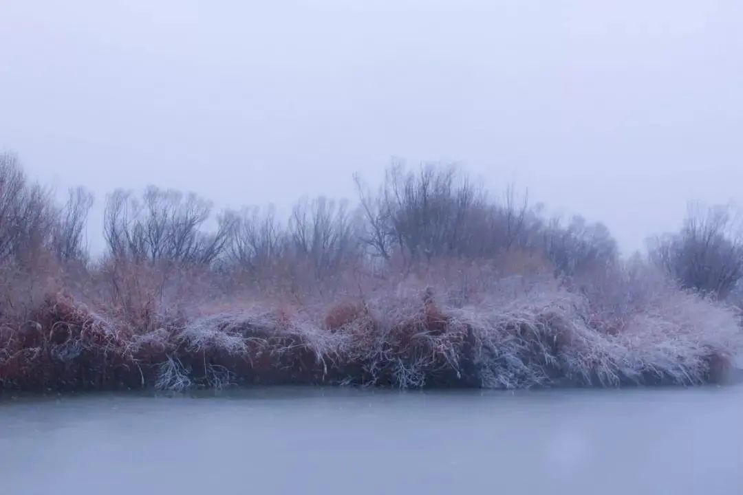 期待|期待一场大雪 邂逅最美山“冬”