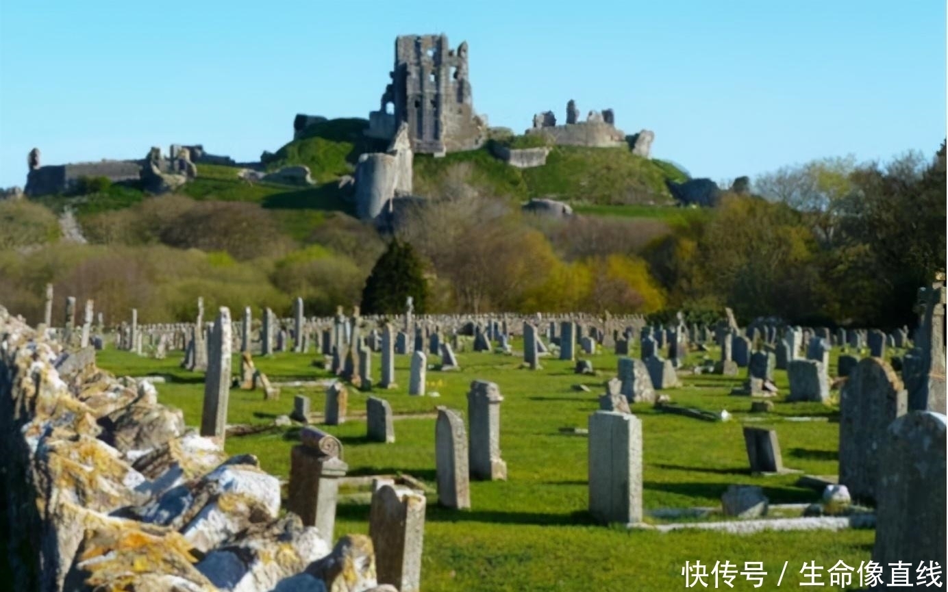 墓地|“千人挣钱,不如一人睡觉”,难道睡觉也赚钱?别理解错了