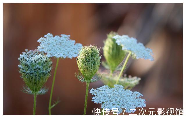 道德经|人生决不能丢这条底线，否则，一生尽毁！