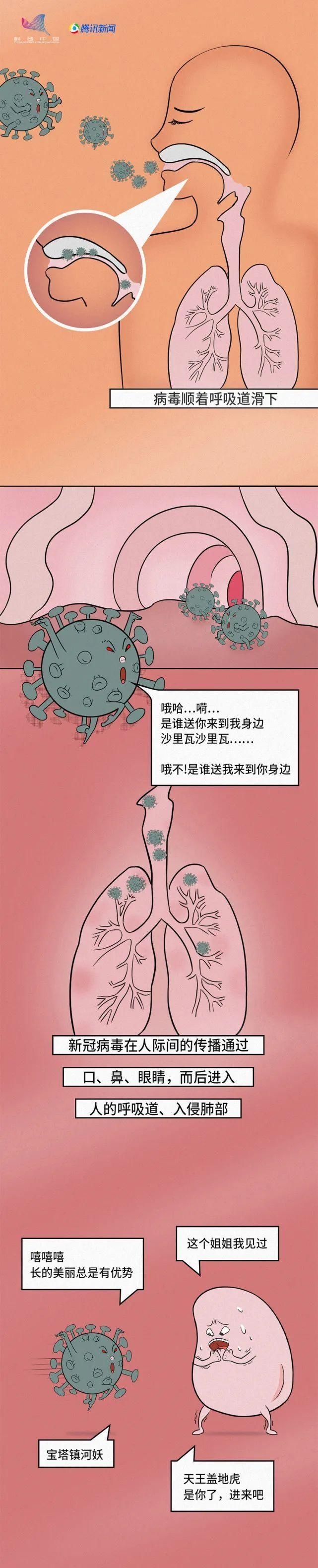 病毒|新冠大作战丨漫画图解新冠病毒到底是一种怎样的生物?？