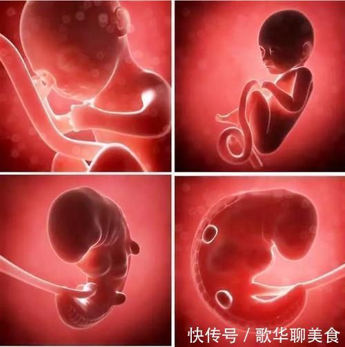 恐怖|国外男孩长睫毛“逆天”,最长可接触到嘴巴,网友有些恐怖