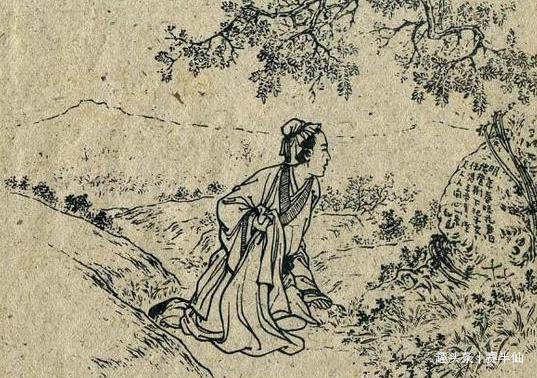 小花蛇!新聊斋故事男子挖参救母招来护参蛇,几年后惹大祸险些妻离子散