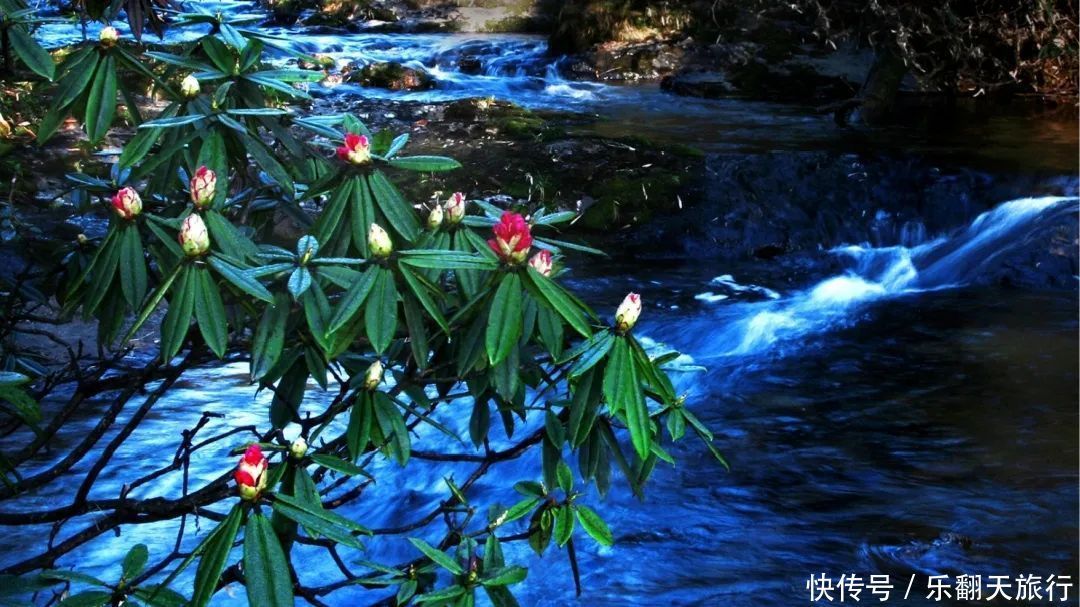 【迷幻仙境·上帝的餐桌瓦屋山】双动4日游