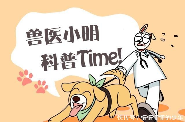 厨房|妈妈在厨房包饺子,让儿子帮忙和面,看到成果二师兄身价有点高