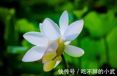 薄暮空潭曲|李端的一首禅诗,描写精细,简洁明丽,颈联更是景与意会