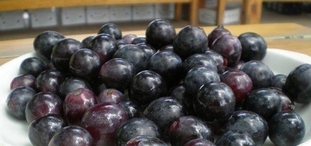 安胎|夫妻俩是小眼睛,孕妇天天吃葡萄,只为生出大眼萌娃,结局很意外