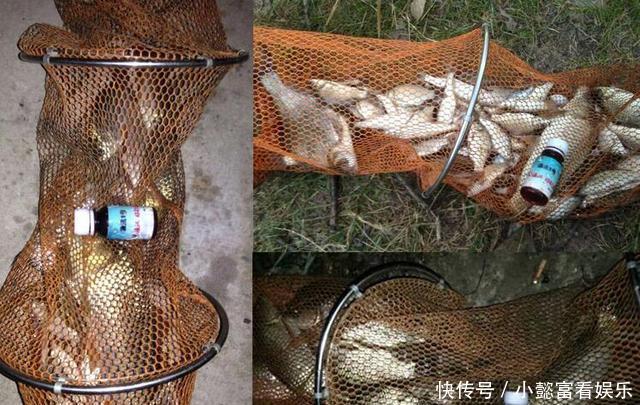 钓鱼时放药酒效果很好,但用错了反而死窝,几个技巧让你钓好鱼