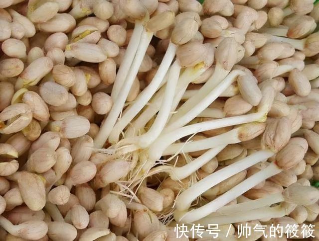 播种花生到底带壳还是不带壳二者哪个更好呢一起来看看