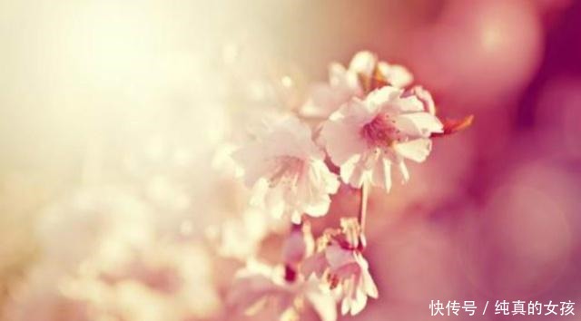 眼中|男人眼中最美的爱是怎样纳兰性德用短短13字,道尽世间最真的爱