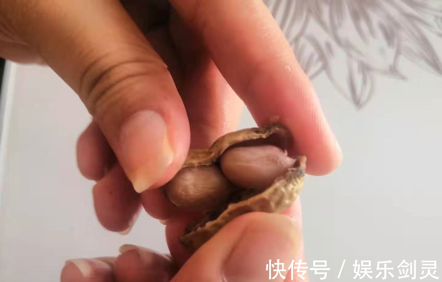 花生|入秋后,不管贫富,都别忘吃这果,蛋白质高又应时,常吃体质棒