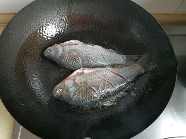 甲鱼|被“误解”最深的鱼，它的全身是宝，比甲鱼营养，一斤5元没人买