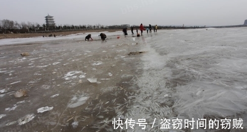 俄罗斯|冬季俄罗斯小哥在结冰湖面凿了个大洞，结果水面堆满了数千条鱼！