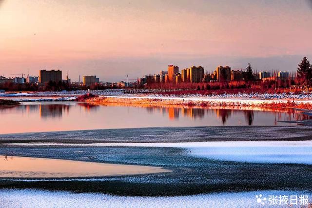 湿地|暖阳、湿地、芦苇荡……，恍然一幅画境