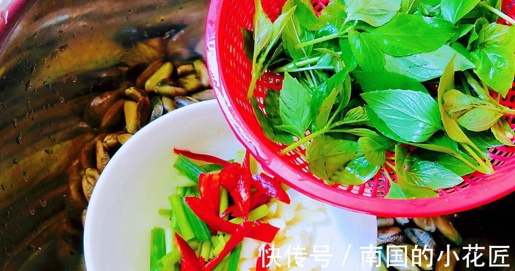 鱼露|立秋前后，别不懂吃，小小个不起眼的当下最肥嫩，炒炒比肉香
